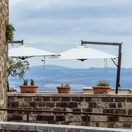 Vecchia Oliviera Montalcino