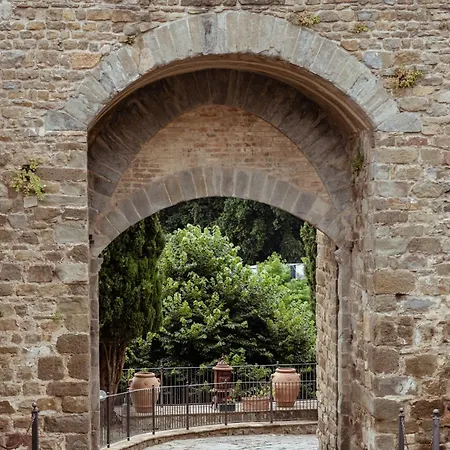 Vecchia Oliviera Montalcino